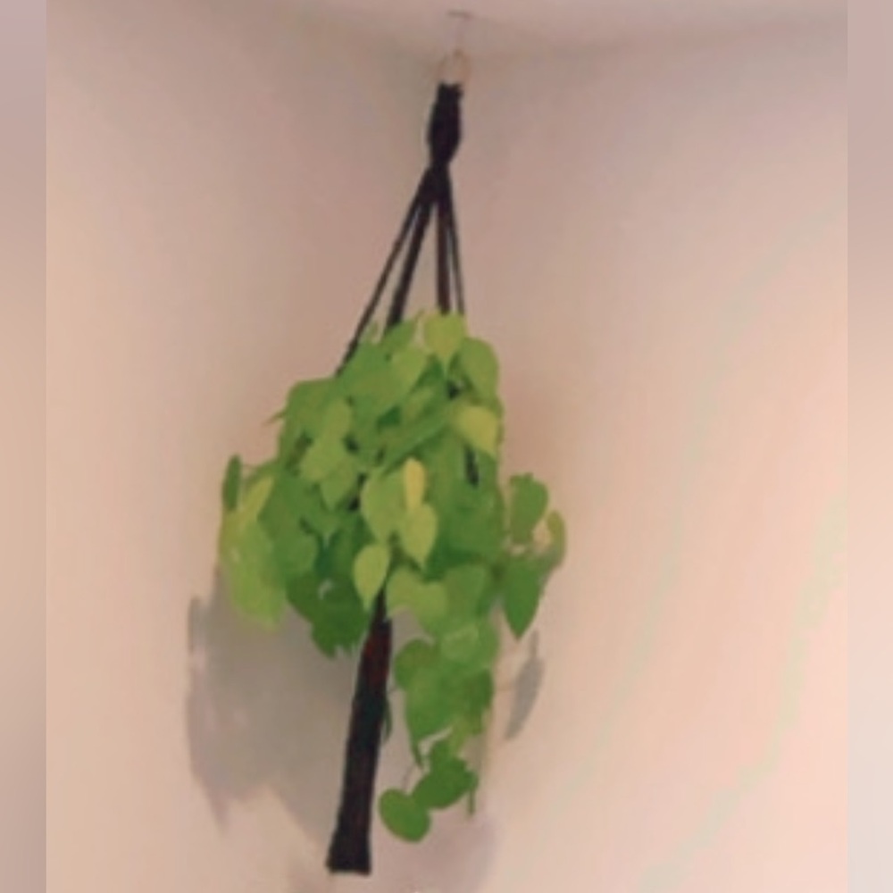 Macrame plant hanger